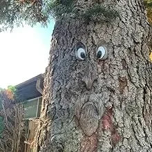 Outdoor Tree Face Statues Old Man Tree Hugger Bark Ghost Face Decoration Funny Yard Art Tree Decor Outdoor Garden Creative Props