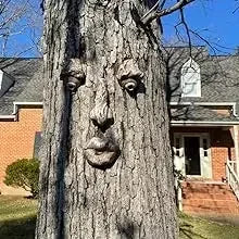 Outdoor Tree Face Statues Old Man Tree Hugger Bark Ghost Face Decoration Funny Yard Art Tree Decor Outdoor Garden Creative Props