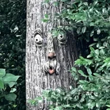 Outdoor Tree Face Statues Old Man Tree Hugger Bark Ghost Face Decoration Funny Yard Art Tree Decor Outdoor Garden Creative Props